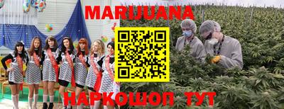 прущие крисы Ливны