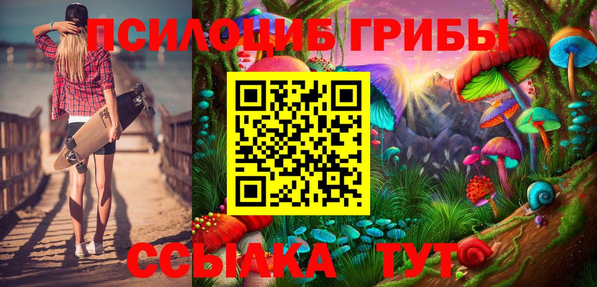 Псилоцибиновые грибы Cubensis  Вход с VPN  Железногорск 
